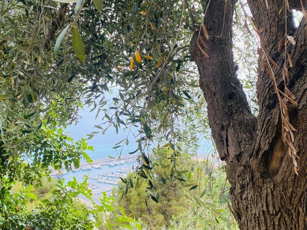 “Da Senso” Relax Nel Verde Vista Mare Finale Ligure Exteriér fotografie